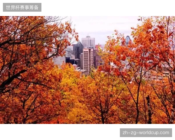 法国队需克服北美不同赛区气候差异，训练计划面临场地适应性难题